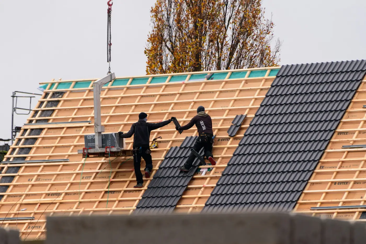 Two roofers passing dark concrete tiles along the battens of a new pitched roof